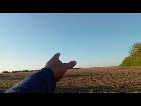 Видео: 300 га. озимого рапса всего в 500 метрах от нашей пасеки 🤦‍♂️