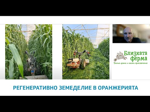 Видео: Близката ферма: Как се отглеждат оранжерийни зеленчуци без оран, плуг, фреза и химически пестициди