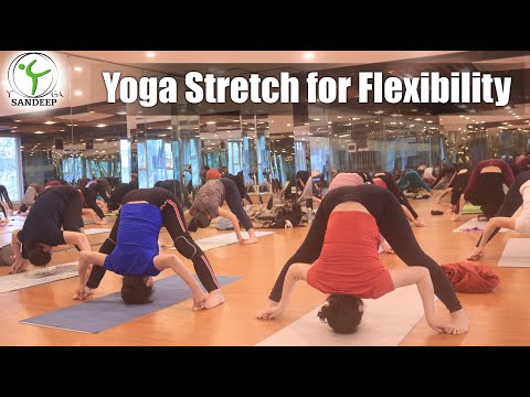 Видео: Йога-растяжка для гибкости | 50-минутное занятие хатха-йогой | Йога с Сандипом | Вьетнам
