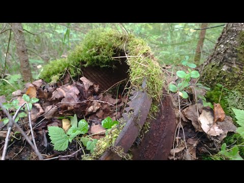 Видео: Новая разведка усов УЖД . Поиск погрузочных площадок 