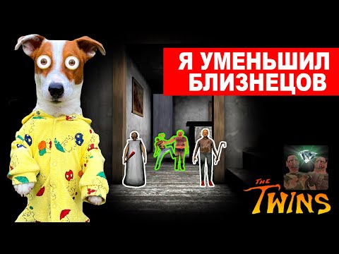 Видео: Я уменьшил Близнецов 😱 The Twins + Смешные моменты