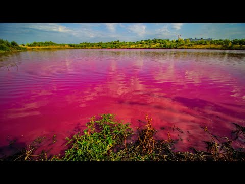 Видео: "Красная Падь". Мистический рассказ.