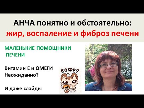 Видео: ПЕЧЕНЬ: маленькие помощники