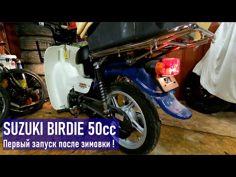 Видео: SUZUKI BIRDIE 50cc, заведется или нет после простоя в 6 мес? Запуск двигателя после зимовки.
