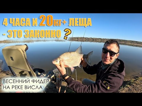 Видео: 20 кг РЫБЫ ЗА 4 ЧАСА! ФИДЕР ТВОРИТ ЧУДЕСА? / Делюсь секретами ловли / Фидерная рыбалка 2025