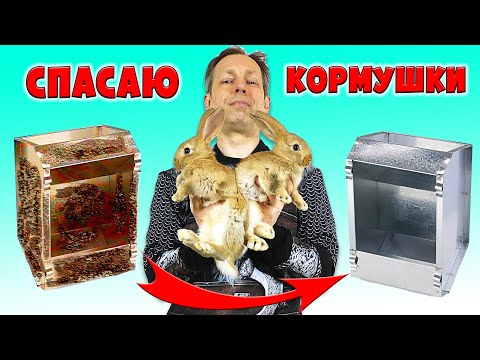 Видео: Восстановление кормушек для кроликов #rabbit #кролики #кролик #кролиководство