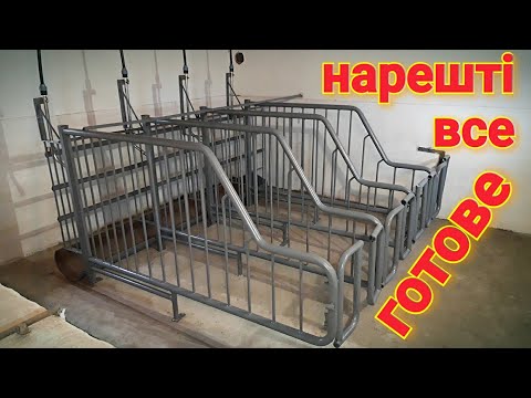 Видео: Новий відділ, для свиноматок зроблений‼ Станки для осіменіння❗
