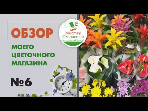 Видео: #6 Обзор цветочного магазина "Мистер Флористер". Зеленые питомцы - цветущие и лиственные