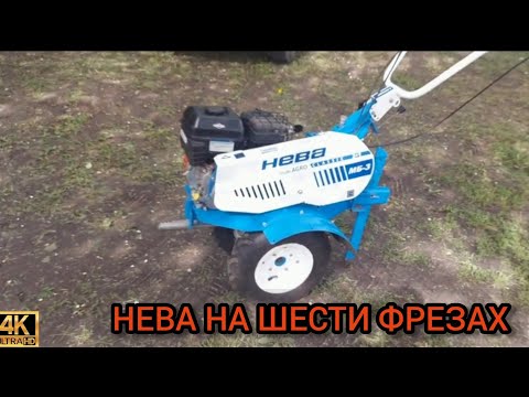 Видео: Мотоблок Нева на шести фрезах взбил огород в пух.