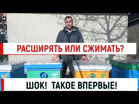 Видео: Расширять или сжимать?  ШОК! ТАКОЕ ВПЕРВЫЕ!