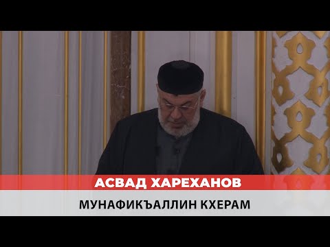 Видео: Асвад - Мунафикъаллин кхерам