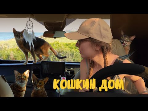 Видео: Первые 24 часа в автодоме