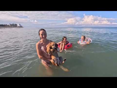 Видео: Грузия, аквапарк Анаклия, Сарпи, Гомис Мта, июль 2024