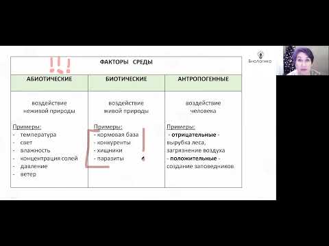 Видео: Лекция 27. Экологические факторы