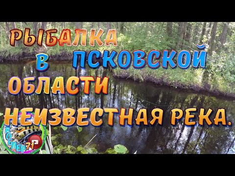 Видео: РЫБАЛКА В ПСКОВСКОЙ ОБЛАСТИ, НЕИЗВЕСТНАЯ РЕКА!!!