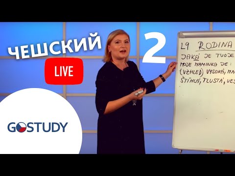 Видео: «Разговорные темы» – 2 выпуск живого марафона чешского языка с GoStudy