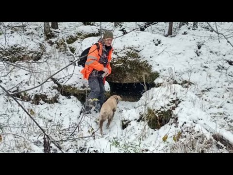 Видео: Найдено противоречие в словах пропавших Усольцевых об отдыхе в тайге