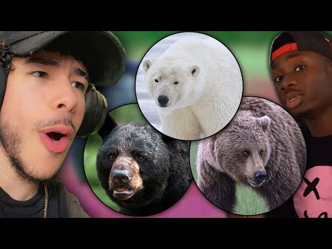 Видео: КАК РАЗНЫЕ ВИДЫ МЕДВЕДЕЙ УДЕРЖИВАЮТ ВАС ИЗ ЖИЗНИ (Причинно-следственная географическая реакция)