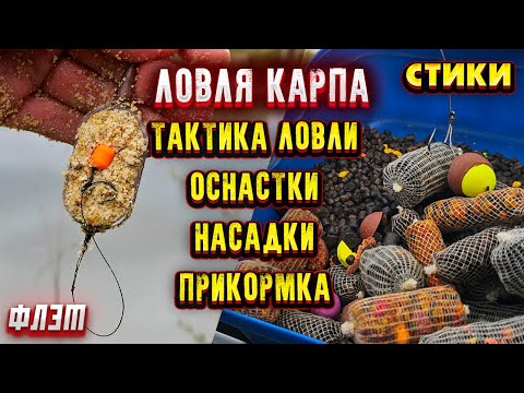 Видео: РЫБАЛКА на ФЛЭТ ФИДЕР и карповые монтажи рыбалка на карпа