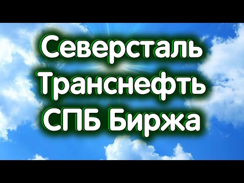 Видео: Северсталь, Транснефть, СПБ Биржа. Дебаты. Нефть. Индекс МосБиржи. Обзор 11.09.2024