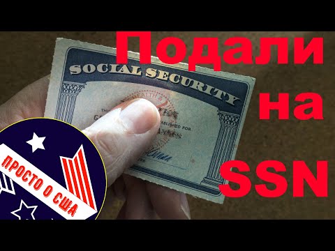 Видео: Подали запрос на SSN и Work Authorization / Все получают за 3+ месяца посмотрим как будет у нас