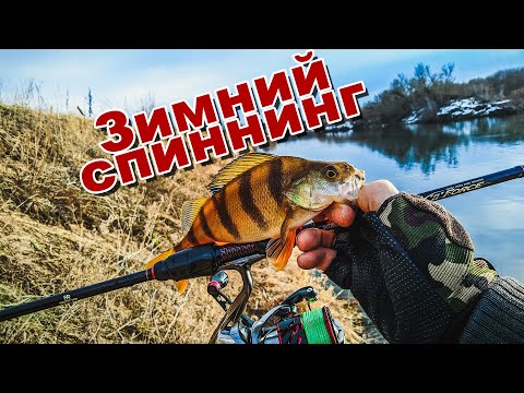 Видео: Ловлю окуня зимой | Моя лучшая приманка и лучшая проводка для пассивной рыбы