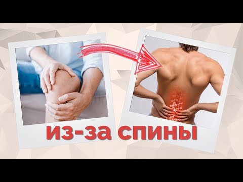 Видео: Боль в коленях и поясница. Связь? Как это лечить?