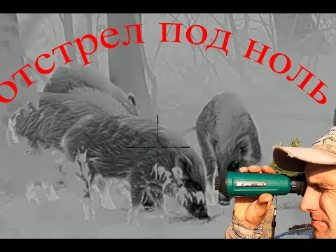 Видео: Массовый отстрел кабана в саратовской области.  Поиск с SFH VIGIL 19.