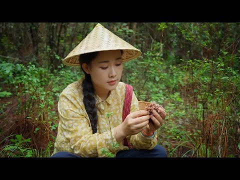 Видео: блюда из лесных грибов - горная кухня. Tiếu Ca.