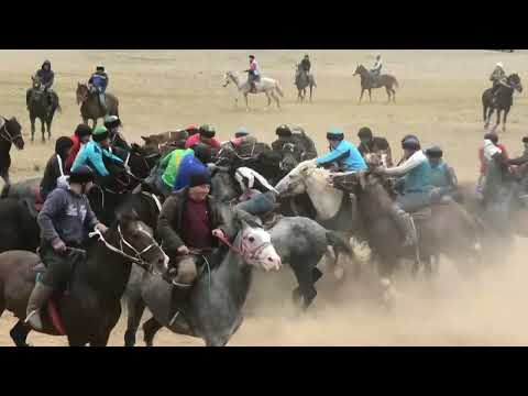 Видео: Төлеби ауданы Қостөбе ауылы Зауырбек ағамыздың той көкпары 2 бөлім 21 10 2023 жыл