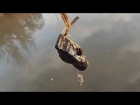 Видео: Будни егеря. 8.11.25. Улов будем Брать!!! 🎣