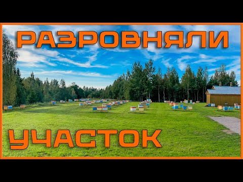 Видео: Газон на пасеке и другие работы 2023 года