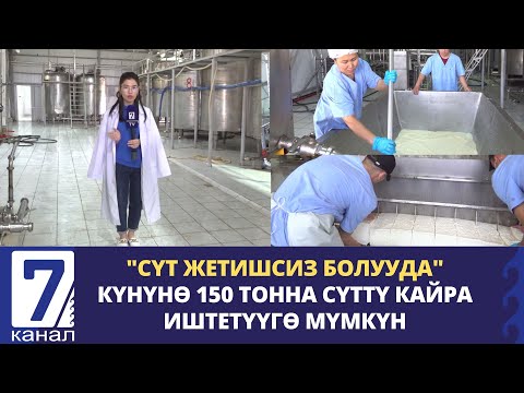 Видео: “СЛИВОЧНОЕ МАСЛО, СЫР ЧЫГАРУУДАБЫЗ” - СУЗАКТА ИРИ СҮТ ЗАВОД ИШТЕП БАШТАДЫ