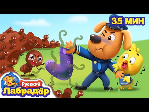 Видео: 🐜С муравьями шутки плохи | 🪼Безопасность для детей | 🐝Популярный сборник мультиков | Шериф Лабрадор