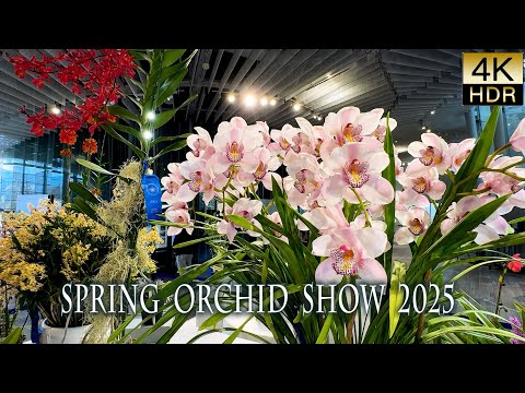 Видео: 【4K HDR Орхидеи】Весенняя выставка орхидей 2025