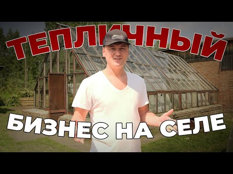 Видео: Тепличный бизнес на селе. Экскурсия в хозяйстве "Зеленый Ряд"