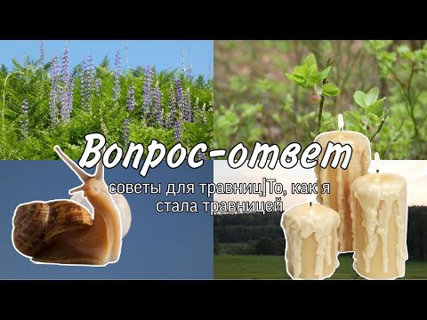 Видео: Советы начинающим травницам | Вопрос-Ответ