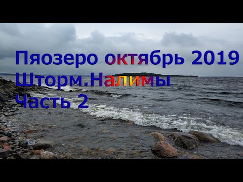 Видео: Пяозеро 2019 октябрь. Налимы, хариус, уха.Часть 2