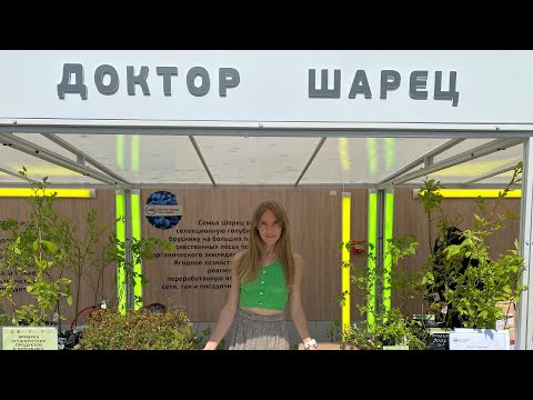 Видео: Мастер класс по посадке голубики на ярмарке в Петербурге