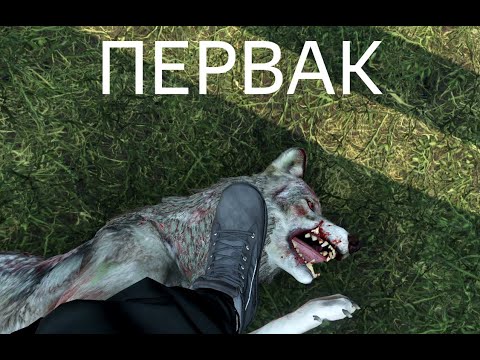 Видео: DAYZ | ПЕРВАК PVE | ЛЕТНИЙ СЕЗОН 5 СЕРИЯ | АТМОСФЕРА ВЫЖИВАНИЯ В СОЛО!