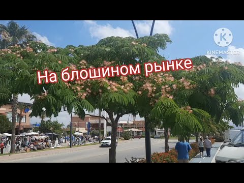 Видео: VLOG БЛОШИНЫЙ РЫНОК В ИСПАНИИ #vlog #rastro #spain #жизньвиспании