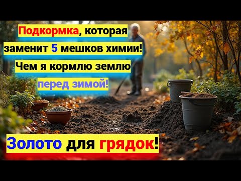 Видео: Осенняя подкормка почвы НА ЗИМУ! Чем удобрить землю, чтобы весной был ОГРОМНЫЙ урожай!