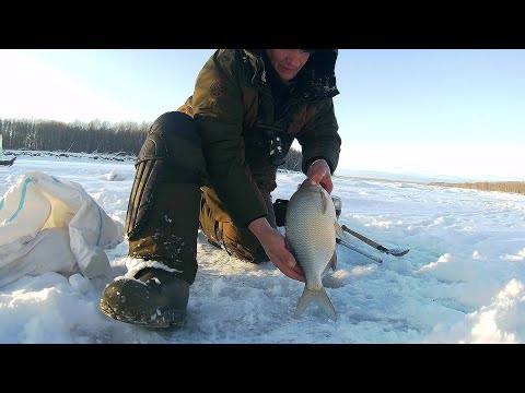 Видео: Тишина на реке - успех обеспечен! Очередная рыбалка на Оби.