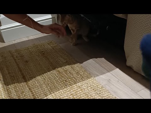 Видео: 2 ноября 2025 г., резали, крутили, что то нацепили