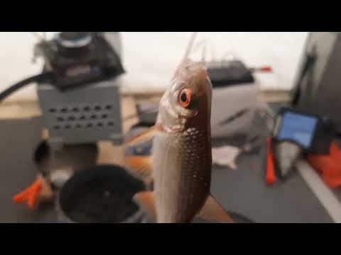 Видео: Открытие первый лед  Вилейка  кайфанул