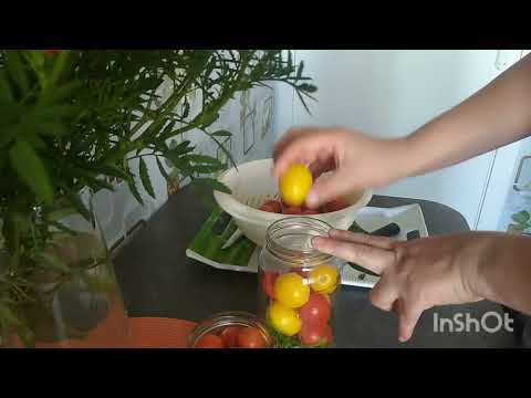 Видео: помидоры на зиму. Рецепт самых вкусных помидор 🍅!!!