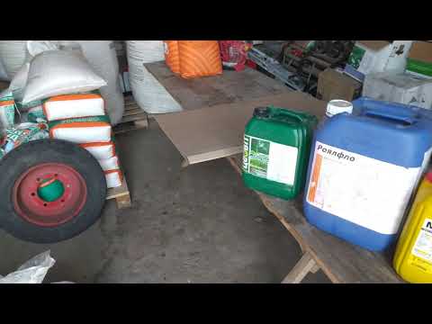 Видео: Протруюємо горох, готуємось до посіву.