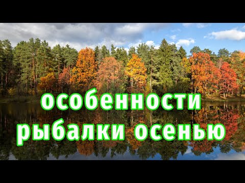 Видео: В такую погоду Клюёт Щука Всегда!  Рыбалка на спиннинг осенью!