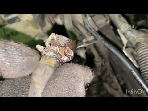 Видео: Патрубки антифриза / Ford Focus 2