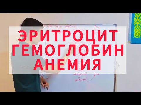 Видео: ЭРИТРОЦИТ. ГЕМОГЛОБИН. АНЕМИЯ
